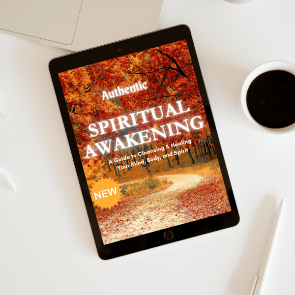 The Authentic Spiritual Awakening Course Workbook (Emotional Decompression and Re-Discovery)